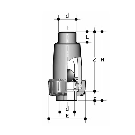 SRIF - Ball check valve