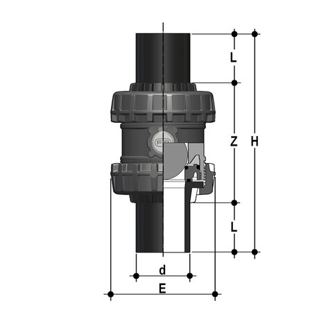 SXEBEV - Easyfit True Union ball and spring check valve