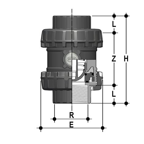 SSENV - Easyfit True Union ball and spring check valve