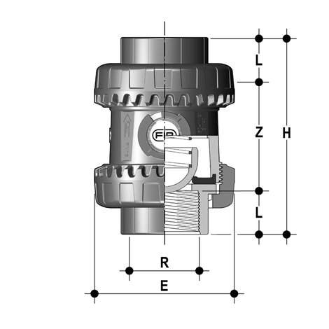 SSEGV - Easyfit True Union ball and spring check valve