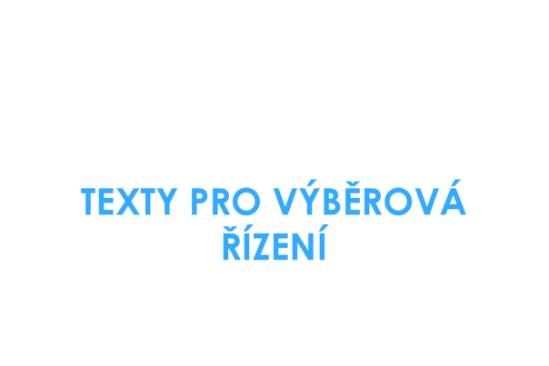 Texty pro výběrová řízení - pdf